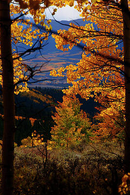 Wall Art - Photograph - Darkness and Light by Jeremy Rhoades