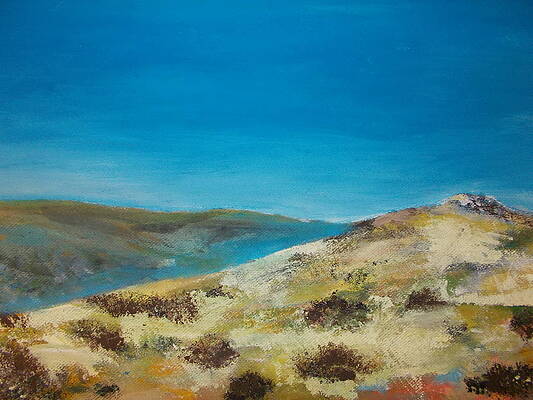 Dartmoor Light by Michael Robinson