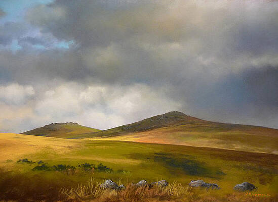 Dartmoor shadows by James Martin