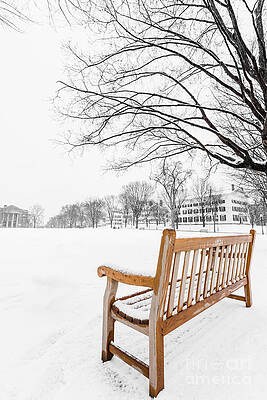 Dartmouth Winter Wonderland by Edward Fielding Dartmouth Winter Wonderland by Edward Fielding