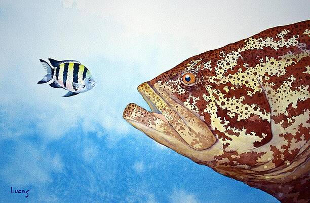 David and Goliath by Jeff Lucas