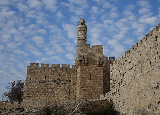 David's Citadel Jerusalem by Rita Adams David's Citadel Jerusalem by Rita Adams