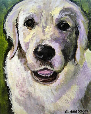 David's Abby by Edith Hunsberger David's Abby by Edith Hunsberger