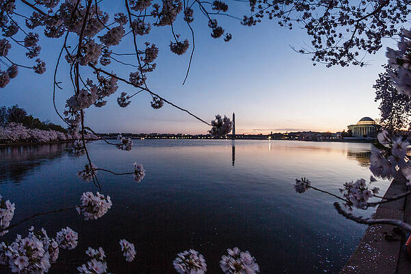 Wall Art - Photograph - Dawn at Tidal Basin by SAURAVphoto Online Store