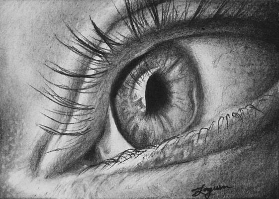 Wall Art - Drawing - Day 1 ACEO by Alaina Ferguson