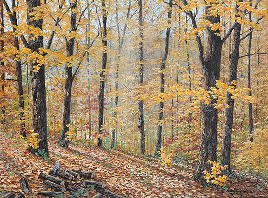Wall Art - Painting - Days Of Autumn by Jake Vandenbrink