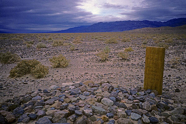 Death by the Elements by David Bailey Death by the Elements by David Bailey