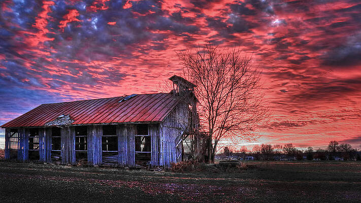 December at Bristol Park by Jaki Miller December at Bristol Park by Jaki Miller