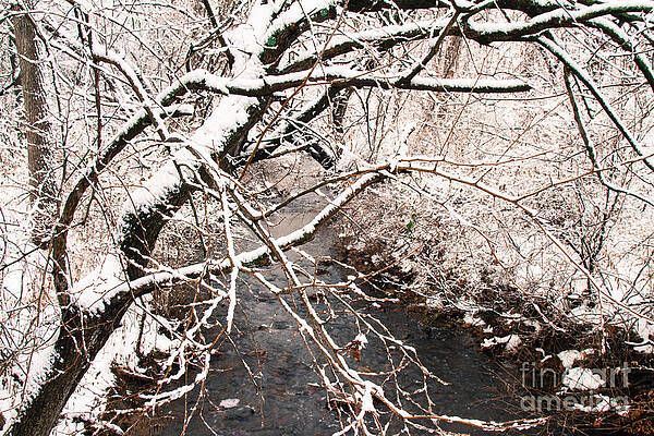 Wall Art - Photograph - Deep Run In Winter 3 by Chris Scroggins