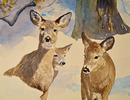 Deer in Late Winter by Thomas Stratton Deer in Late Winter by Thomas Stratton