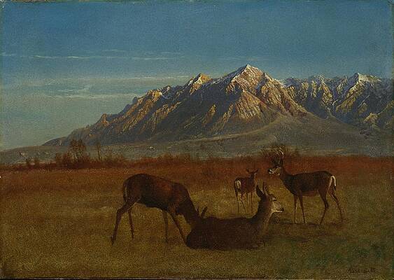 Deer in Mountain Home Print by Albert Bierstadt