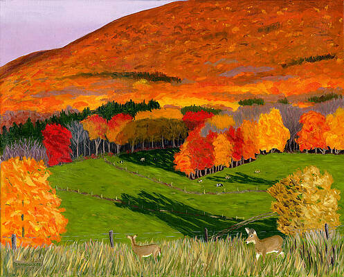 Deer's Eye View of Bear Meadows Farm by Barb Pennypacker Deer's Eye View of Bear Meadows Farm by Barb Pennypacker
