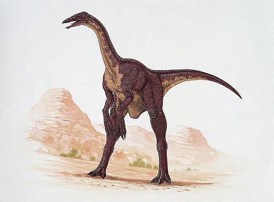 Deinocheirus Dinosaur by James Kuether/science Photo Library