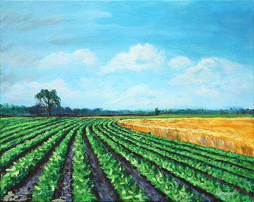 Wall Art - Painting - Delta Soybeans and Wheat by Karl Wagner