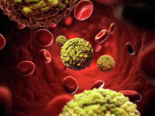 Wall Art - Photograph - Dengue Virus by Science Photo Library