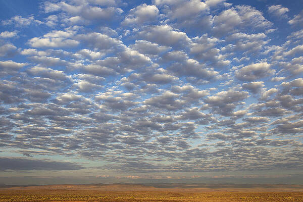 Wall Art - Photograph - Desert And Altocumulus Clouds Namib by Vincent Grafhorst