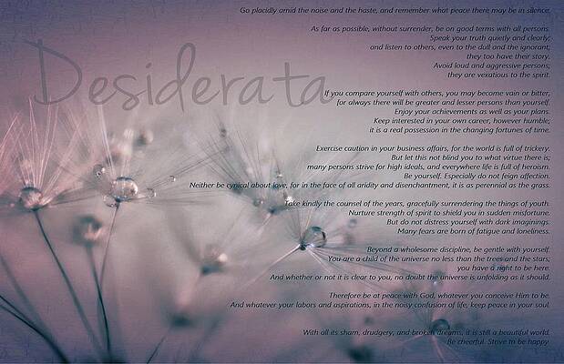 Wall Art - Photograph - Desiderata - Dandelion Tears by Marianna Mills