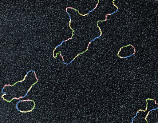 Wall Art - Photograph - Designer Dna by Science Source