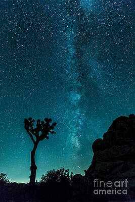 Destination Unknown by Nicholas Pappagallo Jr Destination Unknown by Nicholas Pappagallo Jr