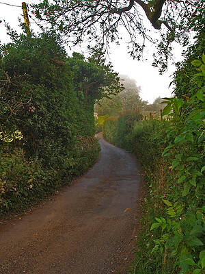 Devon Lane by Michaela Perryman Devon Lane by Michaela Perryman