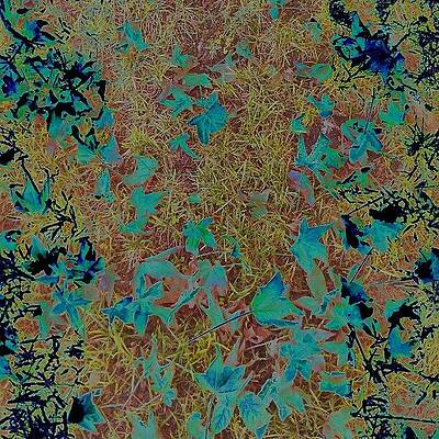 Wall Art - Photograph - Digital Fall by CML Brown