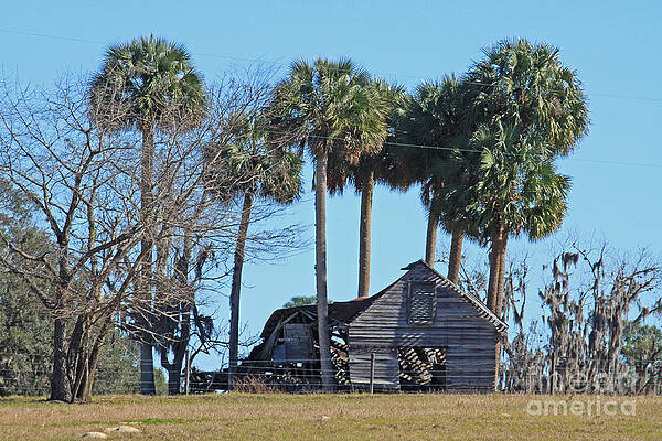 Dilapidated old barn - 2 by Tom Doud Dilapidated old barn - 2 by Tom Doud