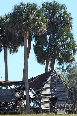 Dilapidated old barn - 3 by Tom Doud Dilapidated old barn - 3 by Tom Doud
