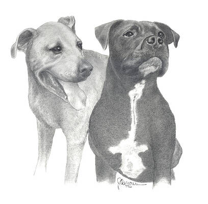 Dippy and Muggs by Joe Olivares Dippy and Muggs by Joe Olivares
