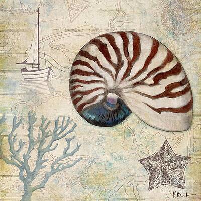 Wall Art - Painting - Discovery Shell I by Paul Brent