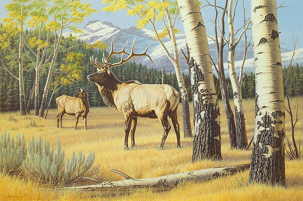 Wall Art - Painting - Distant Bugle by Paul Krapf