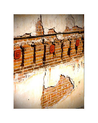  Photograph - What Remains Beneath by Sonia Keshishian