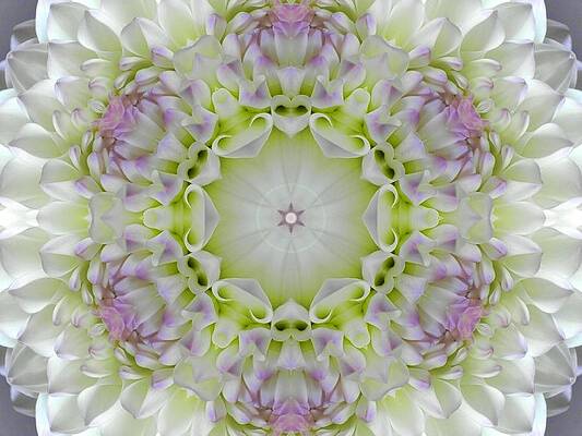 Divine Grace Mandala by Diane Lynn Hix Divine Grace Mandala by Diane Lynn Hix
