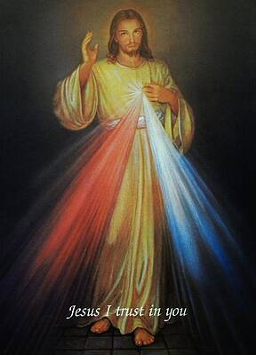 Wall Art - Photograph - Divine Mercy Jesus by Anna Baker
