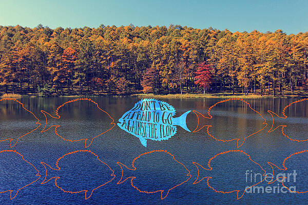 Wall Art - Photograph - Do Not Be Afraid to Go Against the Flow Fish in Autumn Lake by Beverly Claire Kaiya