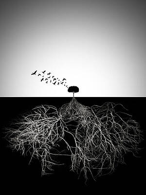 Wall Art - Photograph - Do Not Judge According To Appearance by Sourig  Arslanian