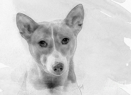 Dog in BW by Lynne Alexander Dog in BW by Lynne Alexander