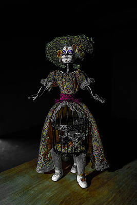 Doll with Dead Bird in New Orleans by Louis Maistros Doll with Dead Bird in New Orleans by Louis Maistros