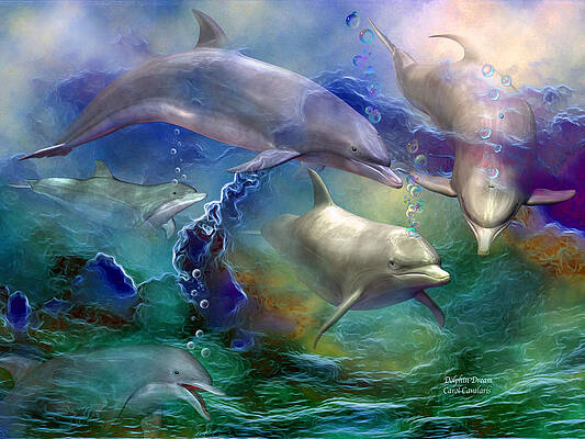 Dolphin Dream by Carol Cavalaris Dolphin Dream by Carol Cavalaris