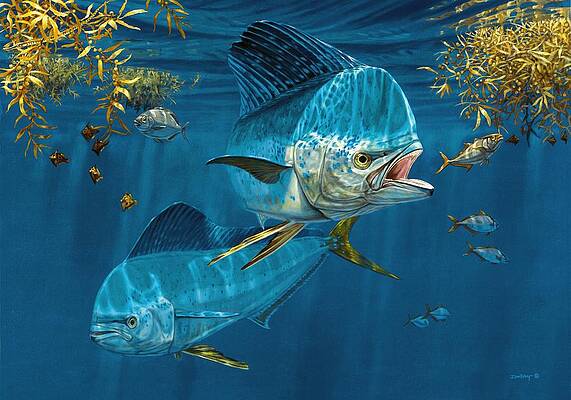 Wall Art - Painting - Dolphin Working the Weeds by Don  Ray
