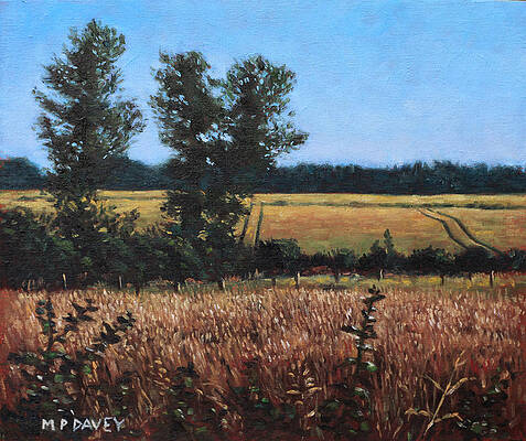 Wall Art - Painting - Dorset Countryside Golden Fields in Summer by Martin Davey