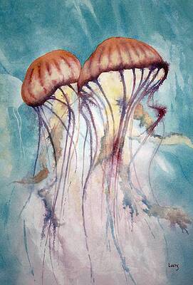 Dos Jellyfish by Jeff Lucas