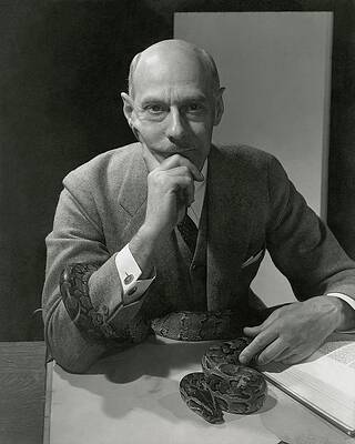 Wall Art - Photograph - Dr. Raymond Ditmars With His Python by Edward Steichen