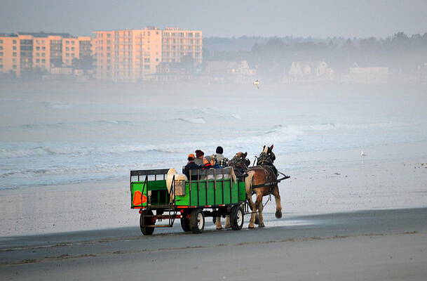  Photograph - Draft Horses Storm the Beach by Amy Taylor
