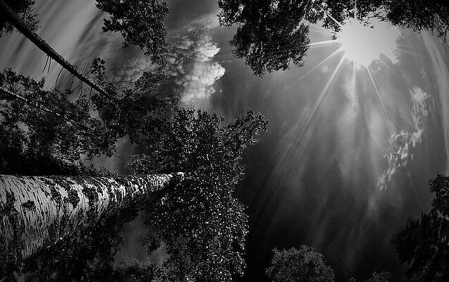 Wall Art - Photograph - Dreaming Before The Thunder by Mikael Jigmo