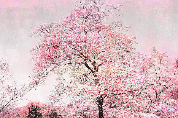 Wall Art - Photograph - Dreamy Pink Pastel Cottage Shabby Chic Nature Tree Landscape - Fantasy Pink Cottage Trees Nature  by Kathy Fornal