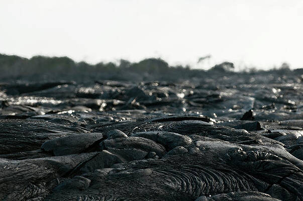 Wall Art - Photograph - Dried Lava, Which Can Take Many Shapes by Keri Oberly