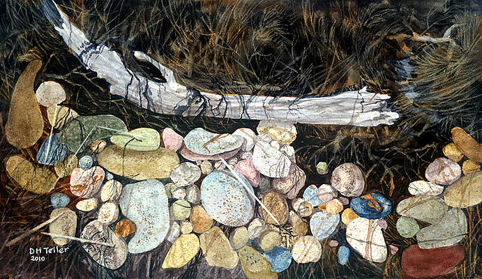 Driftwood and Pebbles by Douglas Teller Driftwood and Pebbles by Douglas Teller