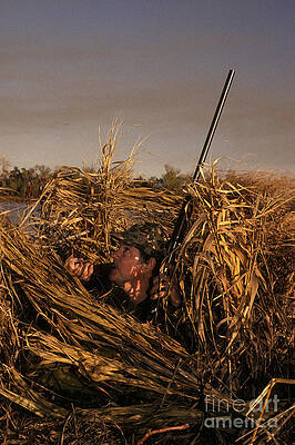 Wall Art - Photograph - Duck Hunter In Blind by Ron Sanford
