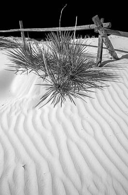 Dune and black sky by Arkady Kunysz Dune and black sky by Arkady Kunysz