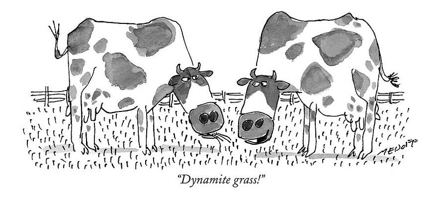 Dynamite Grass! Print by Jack Medof